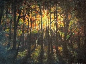 Goldenes Licht im Wald