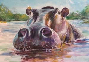 Hippo