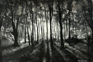 Plötzliches Ende der Nacht